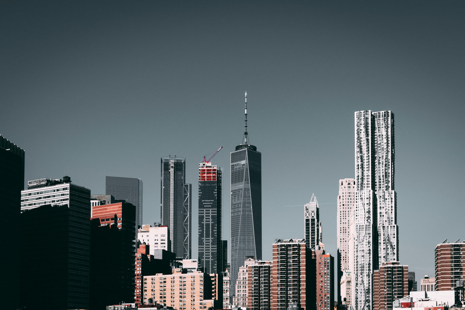 pexels-einfoto-2305190.jpg